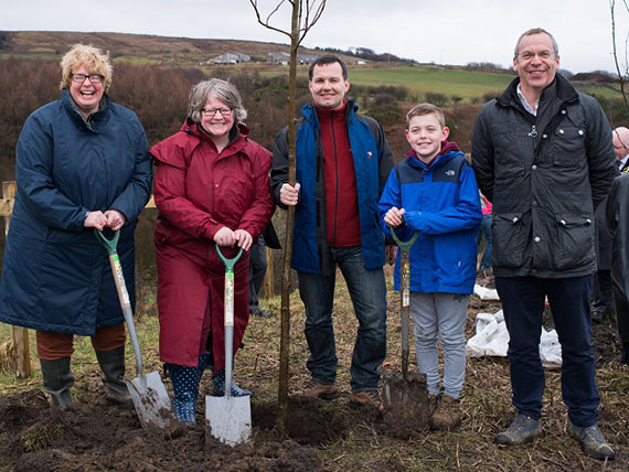 Plant trees on your land