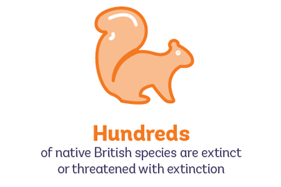 Hundreds of British species are threatened with extinction