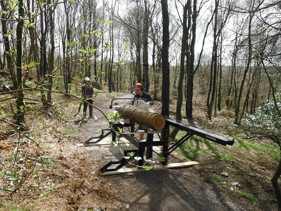 Enhancing woodland management in