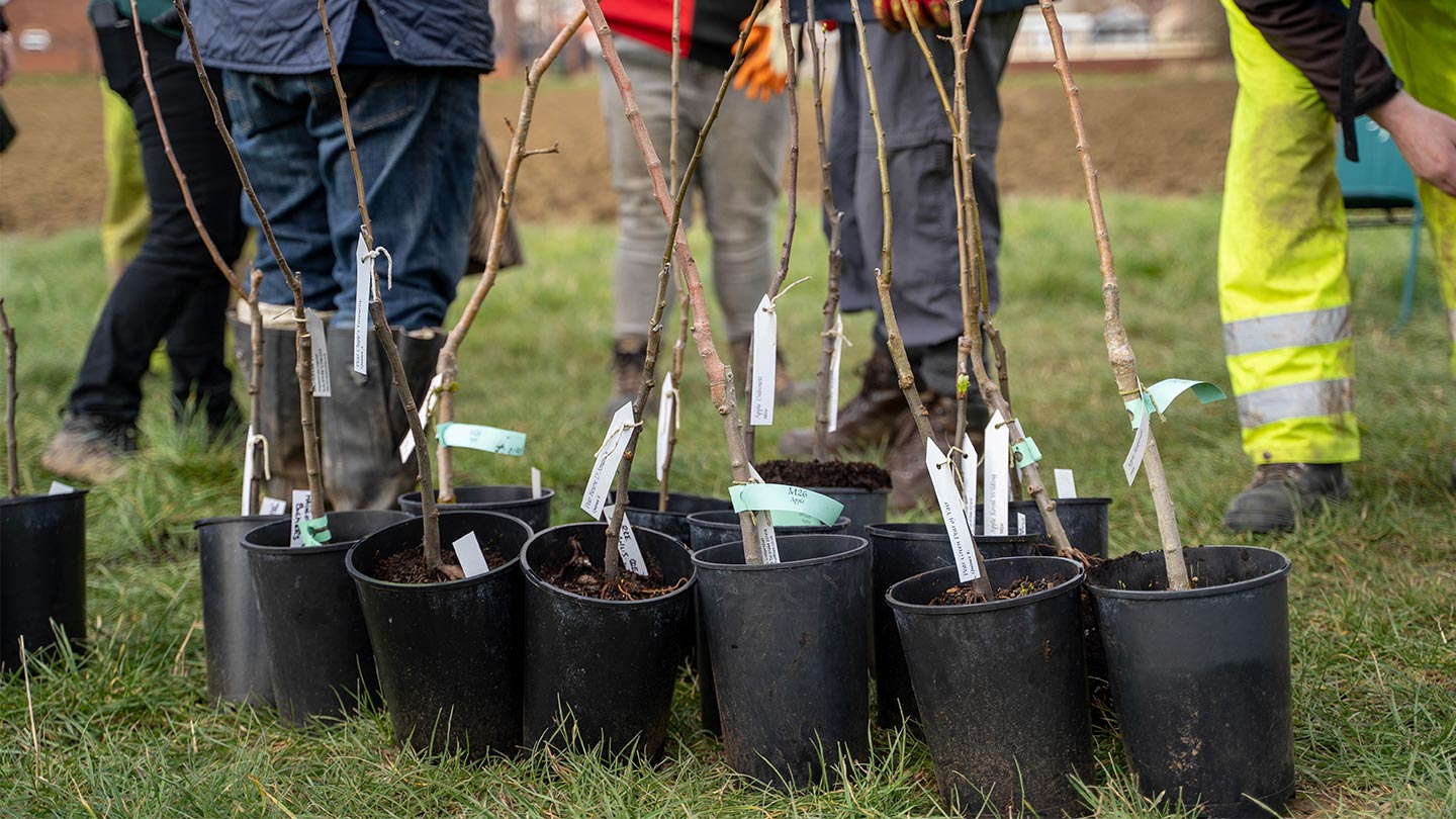 Mab Lane Community Woodland planting scheme