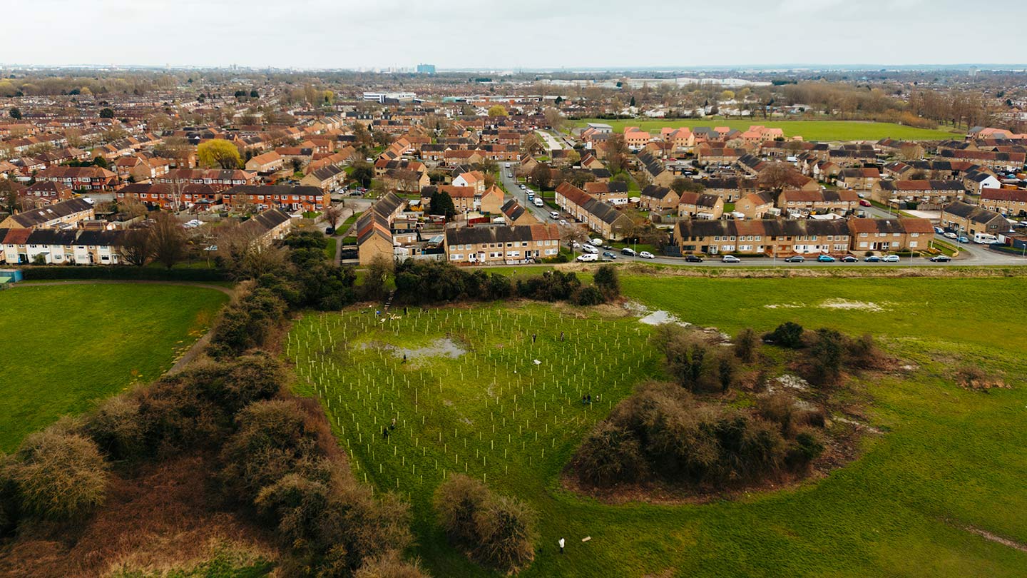 Aerial shot of newly-planted site with residential streets behind.