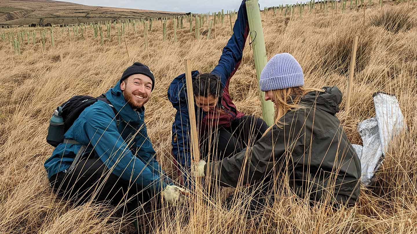 People planting a tree on grassy moorland.