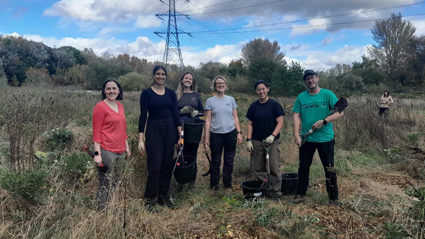 Six tree planting volunteers posing for photo in scrubby land.