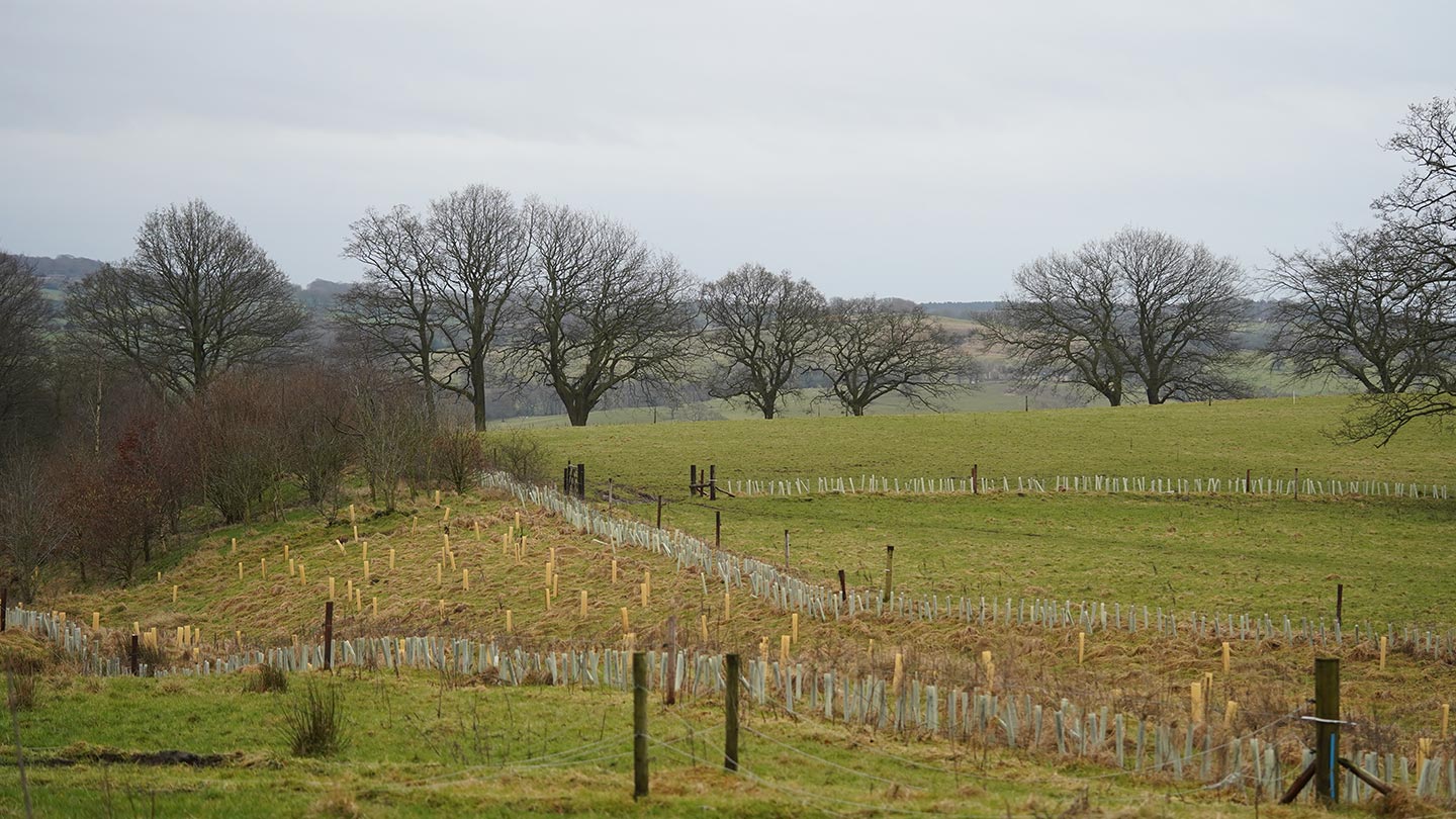 A view across farm fields with trees in the distance.