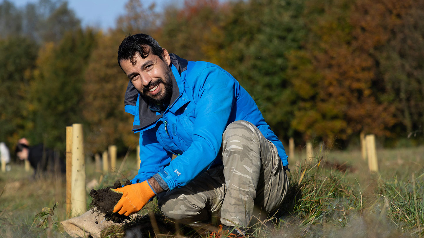 Person planting trees.