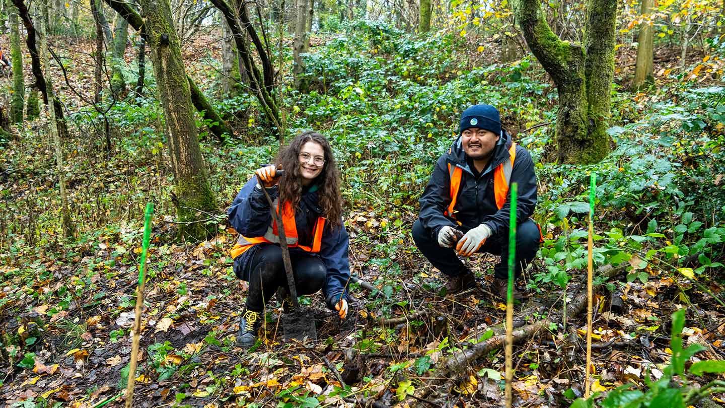 People with shovels crouched in woodland.