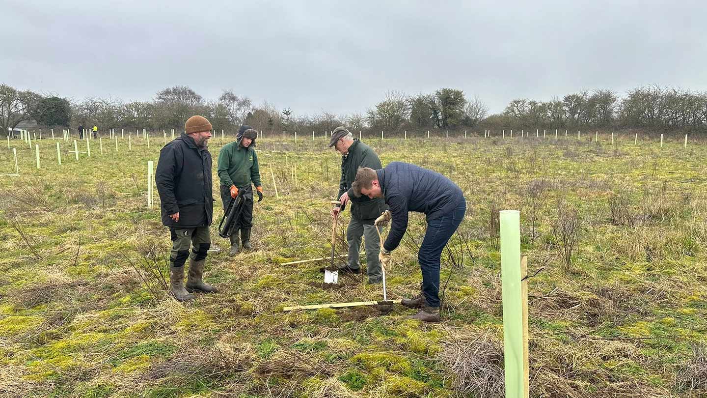 Four people planting trees in field.